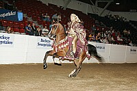 bky_05__1593 thumbnail