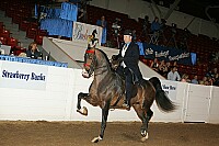 bky_05__1609 thumbnail