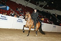 bky_05__1611 thumbnail