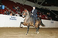 bky_05__1617 thumbnail