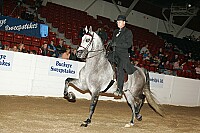 bky_05__1619 thumbnail