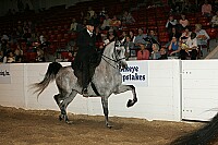 bky_05__1622 thumbnail