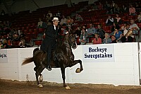 bky_05__1624 thumbnail