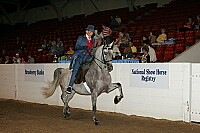 bky_05__1628 thumbnail