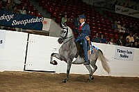 bky_05__1631 thumbnail