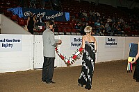 bky_05__1647 thumbnail