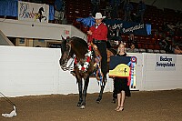 bky_05__1648 thumbnail