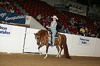 bky_05__1650 thumbnail