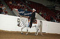 bky_05__1651 thumbnail