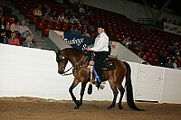 bky_05__1655 thumbnail