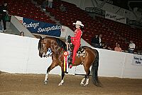 bky_05__1715 thumbnail