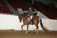 bky_05__1722 thumbnail