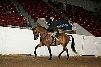 bky_05__1723 thumbnail