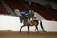 bky_05__1724 thumbnail