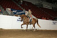 bky_05__1726 thumbnail