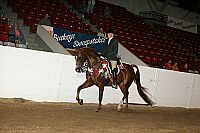 bky_05__1727 thumbnail