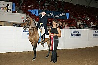 bky_05__1763 thumbnail