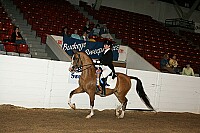 bky_05__1765 thumbnail