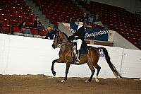 bky_05__1766 thumbnail