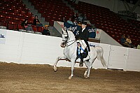 bky_05__1767 thumbnail