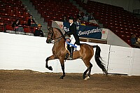 bky_05__1768 thumbnail