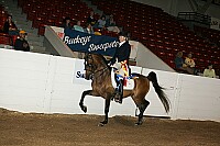 bky_05__1769 thumbnail