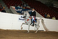 bky_05__1770 thumbnail
