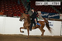 bky_05__1791 thumbnail