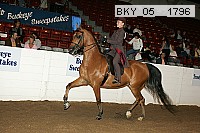 bky_05__1796 thumbnail