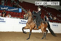 bky_05__1797 thumbnail
