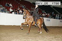 bky_05__1798 thumbnail