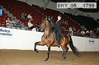 bky_05__1799 thumbnail