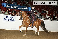 bky_05__1800 thumbnail