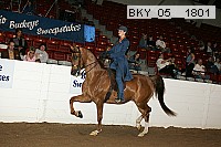 bky_05__1801 thumbnail
