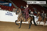 bky_05__1802 thumbnail