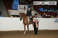 bky_05__1855 thumbnail