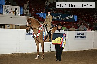bky_05__1856 thumbnail