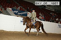 bky_05__1857 thumbnail