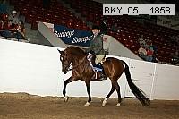 bky_05__1858 thumbnail