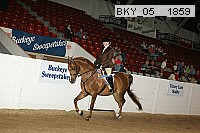 bky_05__1859 thumbnail