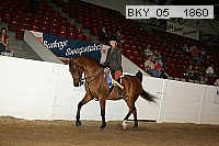bky_05__1860 thumbnail