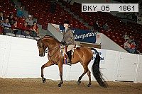 bky_05__1861 thumbnail