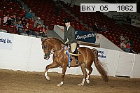 bky_05__1862 thumbnail