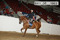 bky_05__1863 thumbnail
