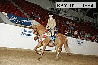 bky_05__1864 thumbnail
