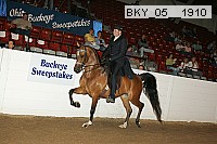 bky_05__1910 thumbnail