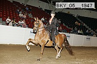 bky_05__1947 thumbnail