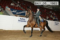 bky_05__1983 thumbnail