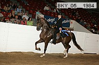 bky_05__1984 thumbnail