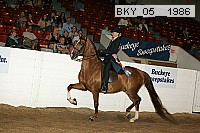 bky_05__1986 thumbnail